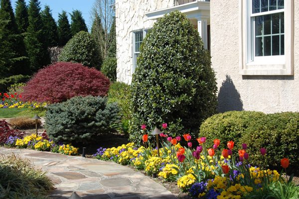 Landscape | Young's Landscape Management, Inc.