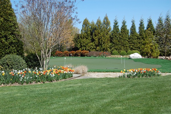 Synthetic Turf | Young's Landscape Management, Inc.