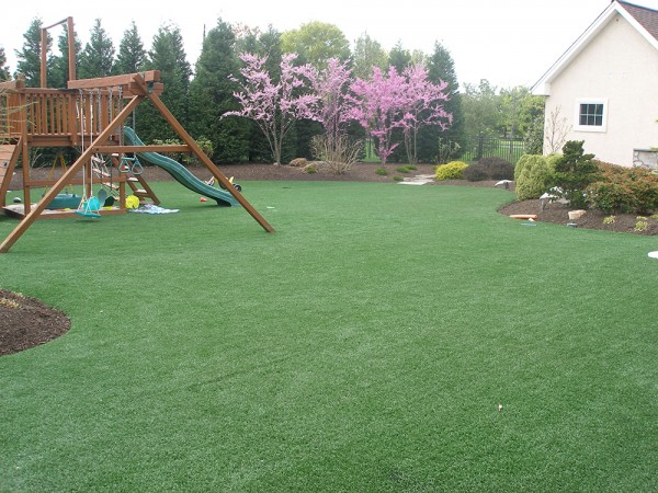 Synthetic Turf | Young's Landscape Management, Inc.