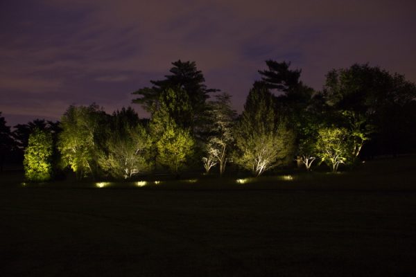 Landscape Lighting | Young's Landscape Management, Inc.