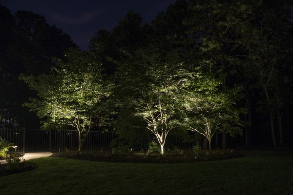 Landscape Lighting | Young's Landscape Management, Inc.