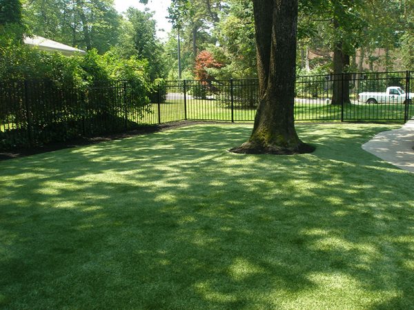 Synthetic Turf | Young's Landscape Management, Inc.