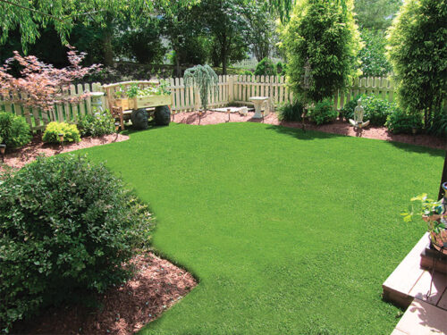 Synthetic Turf | Young's Landscape Management, Inc.