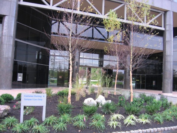 Commercial Landscape Management | Youngs Landscape Management Inc