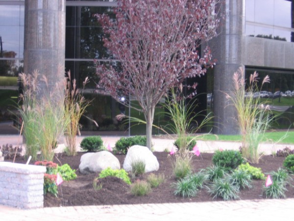 Commercial Landscape Management | Youngs Landscape Management Inc