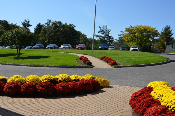 Commercial Landscape Management | Youngs Landscape Management Inc