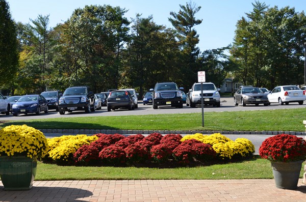 Commercial Landscape Management | Youngs Landscape Management Inc